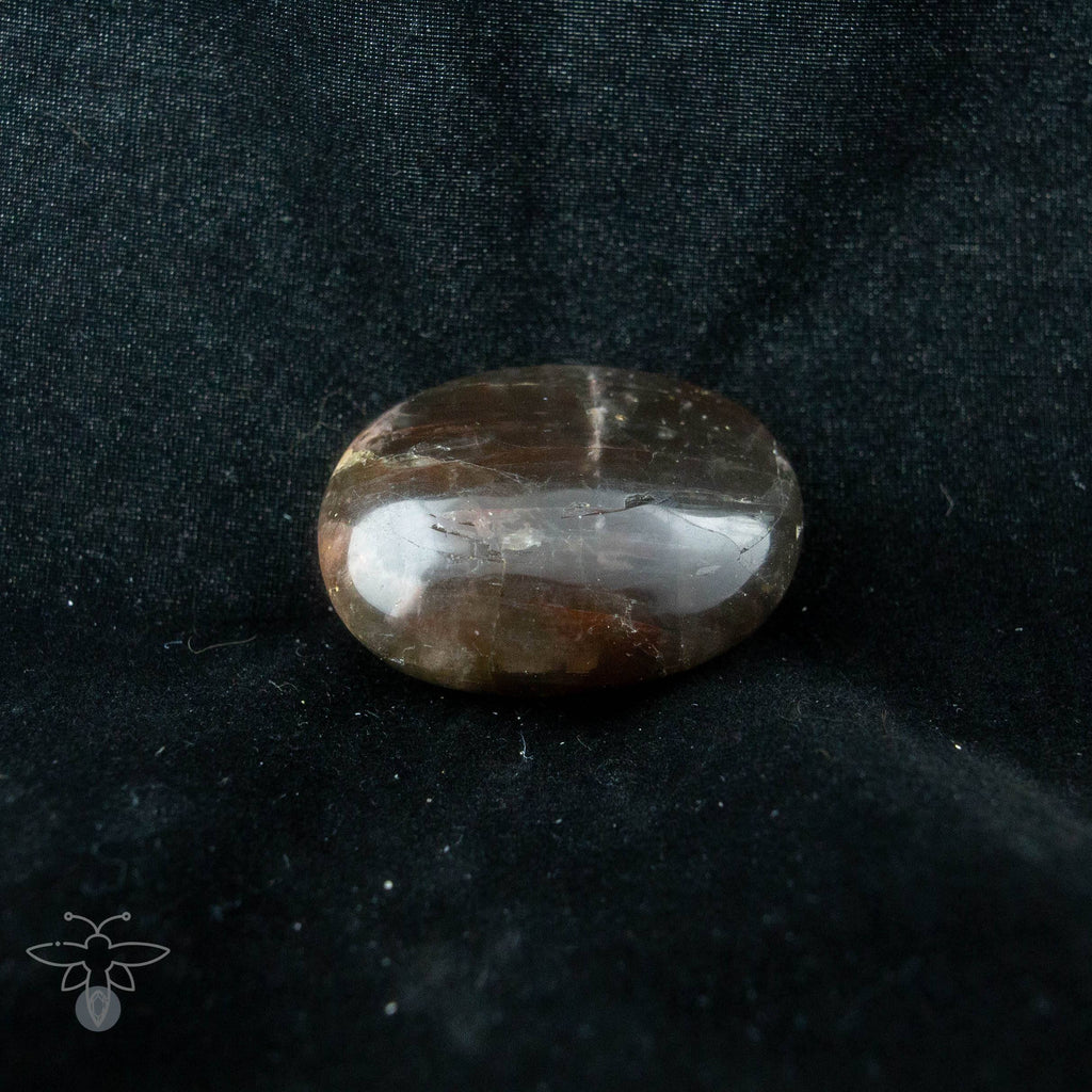 Black Moonstone Palmstone 7 Healing Stones Copper Bug Jewelry