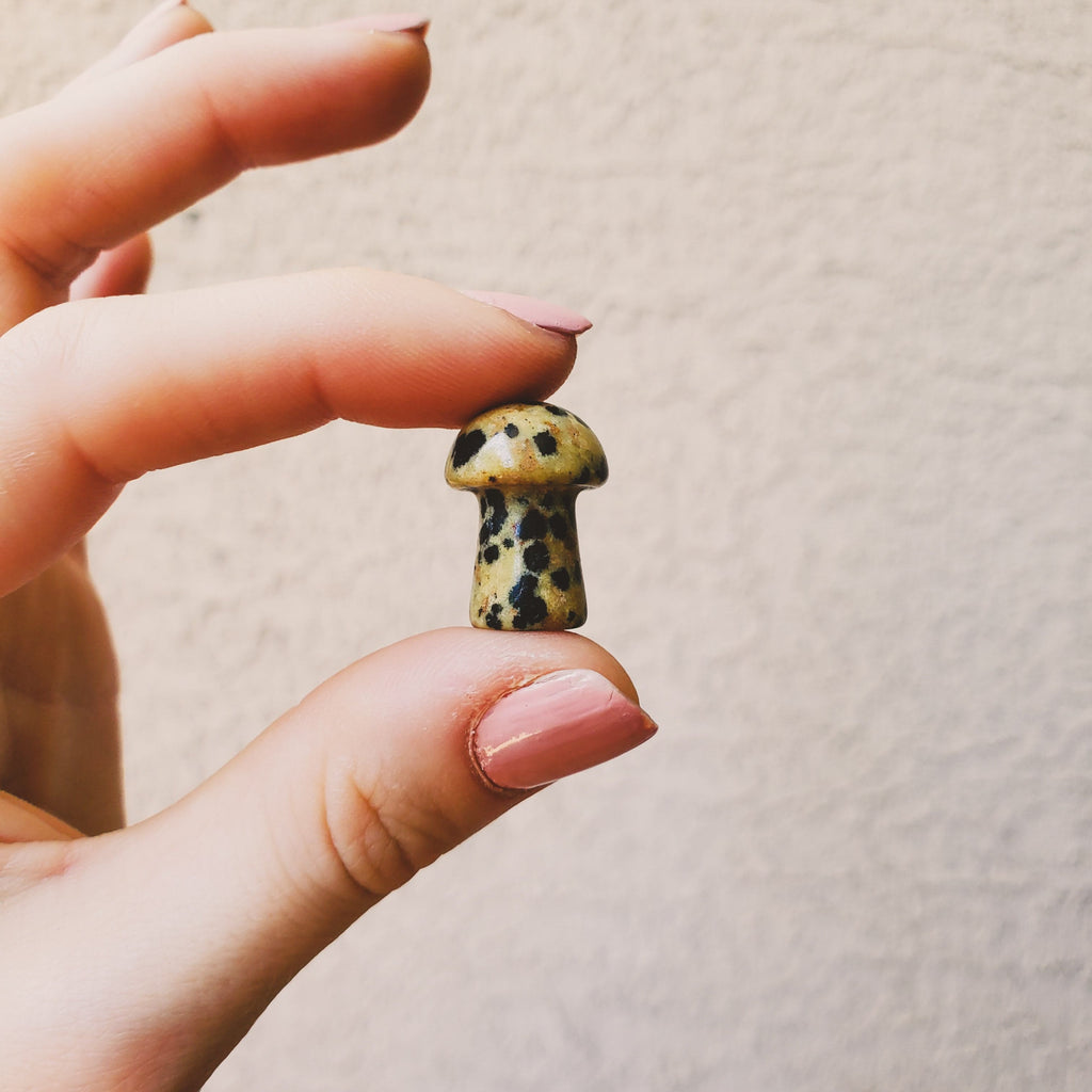 Dalmation Jasper Mini Mushroom - Intuitively Chosen Healing Stones Copper Bug Jewelry