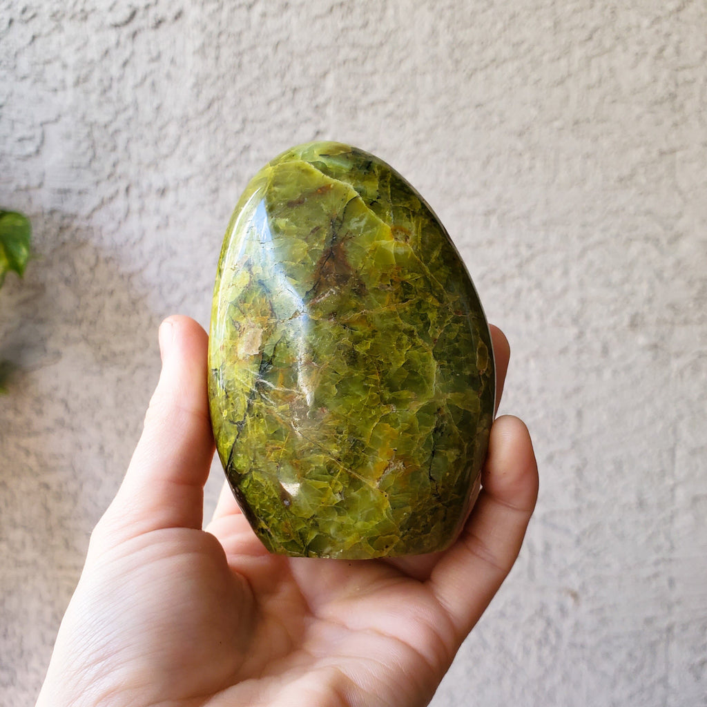 Free Standing Green Opal Freeform Healing Stones Copper Bug Jewelry