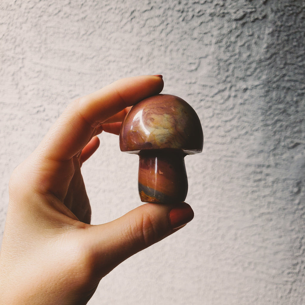 Polychrome Desert Jasper Carved Self Standing Mushroom Healing Stones Copper Bug Jewelry