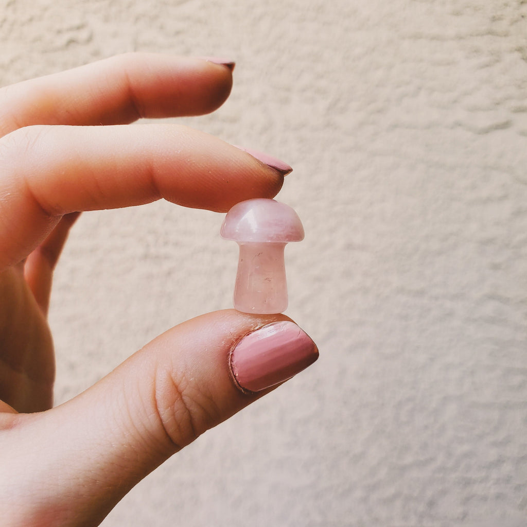 Rose Quartz Mini Mushroom - Intuitively Chosen Healing Stones Copper Bug Jewelry