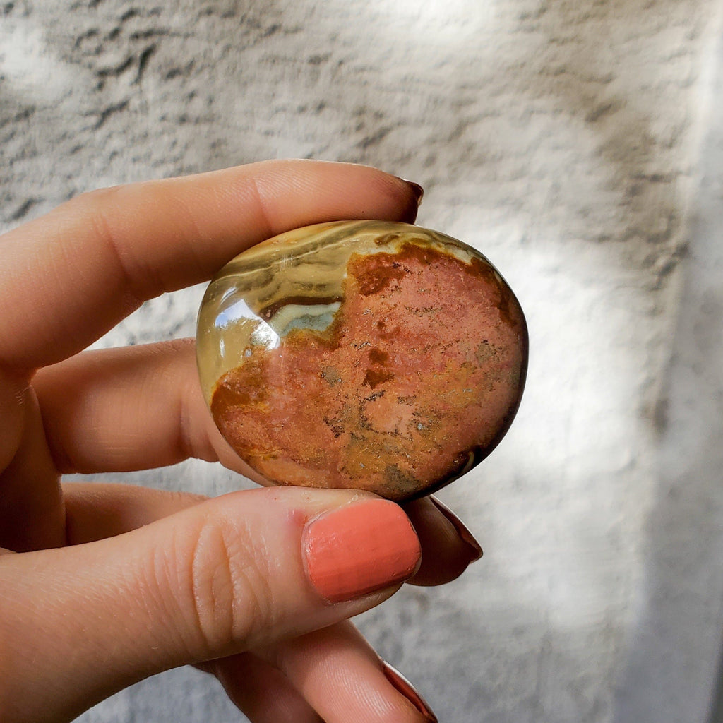 Small Brown and Soft Red Polychrome Desert Jasper Palm Stone Healing Stones Copper Bug Jewelry